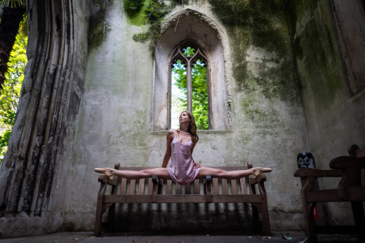 �1765420 �������(a): ����������:4000x2666